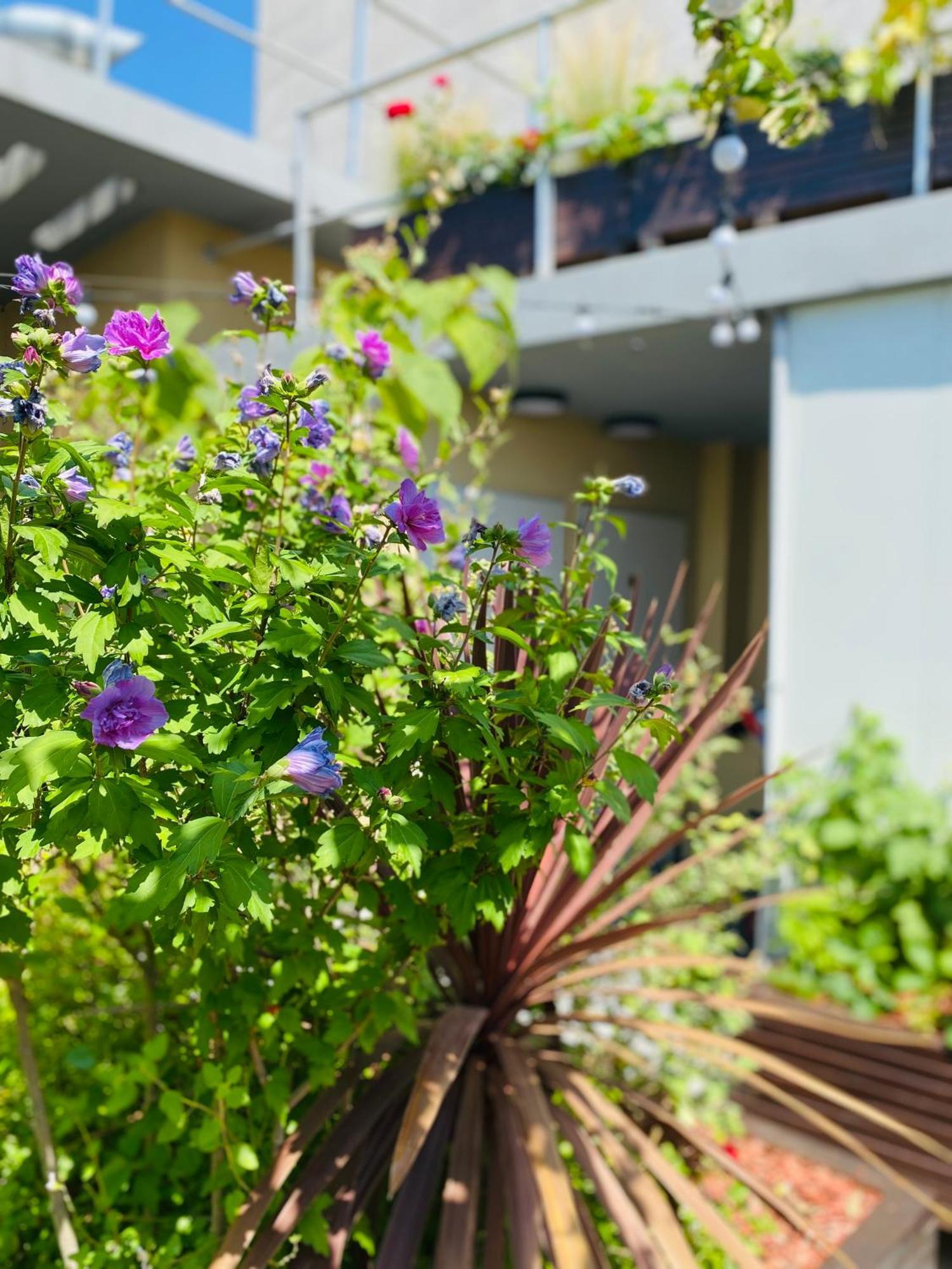 The People - Bercy Paris