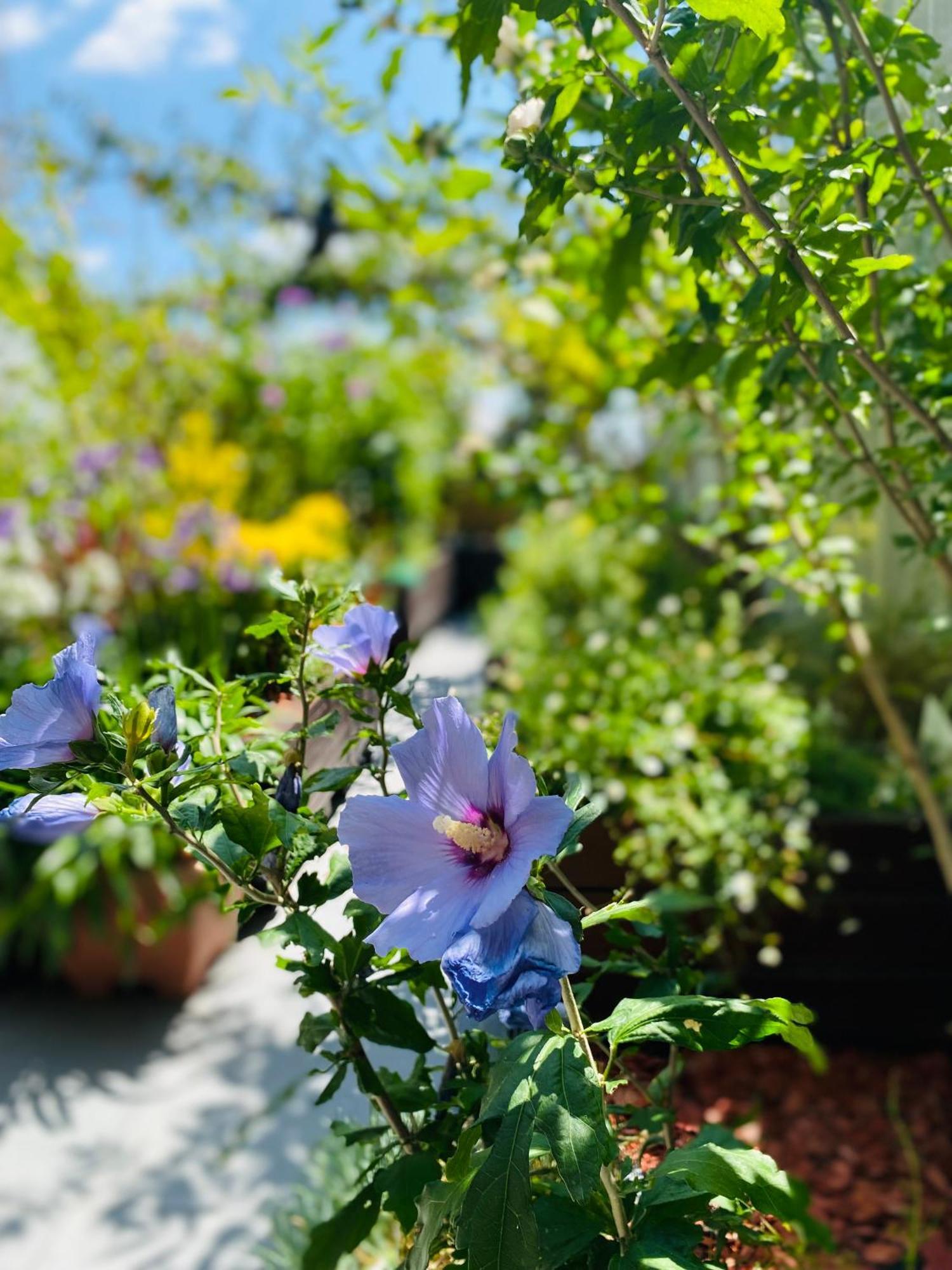 The People - Bercy * Parigi